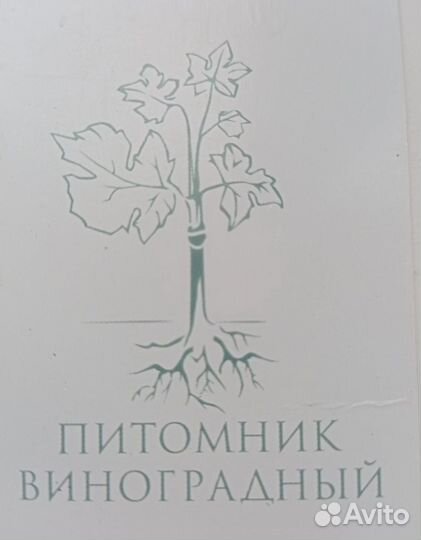 Сотрудники на прививочный комплекс