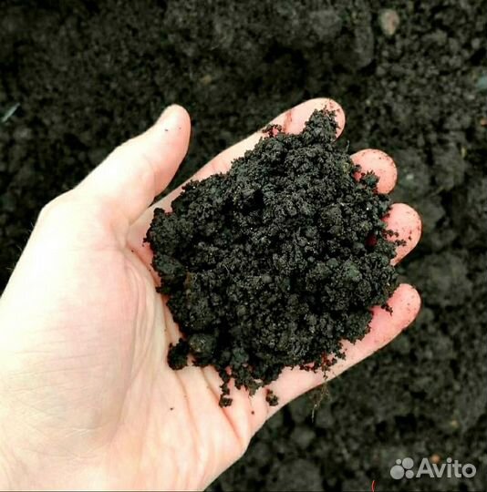 Чернозём сеянный