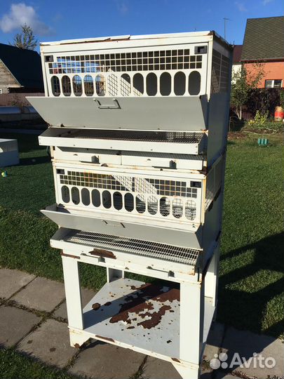 Клетки для кур несушек бу
