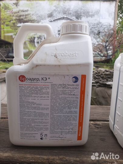 Броадер (аналог Риас )