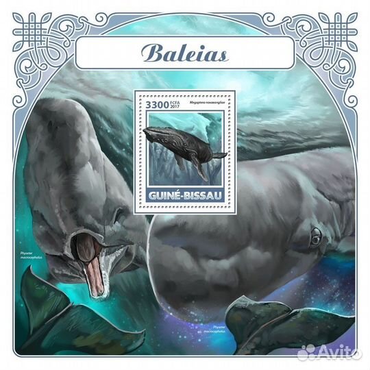 Гвинея-Биссау, 2017. (gb17605) Морская фауна, киты