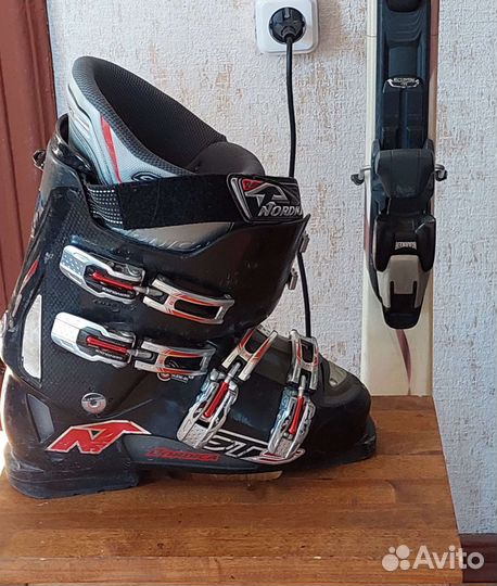 Горные лыжи