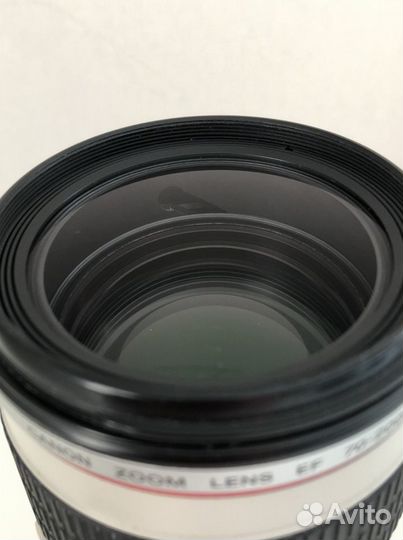 Canon L 70-200 mm f/4 USM