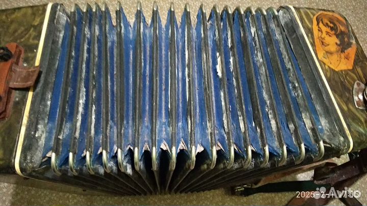 Гармошка, баян