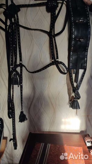 Сани, двуколка, сбруя, седло