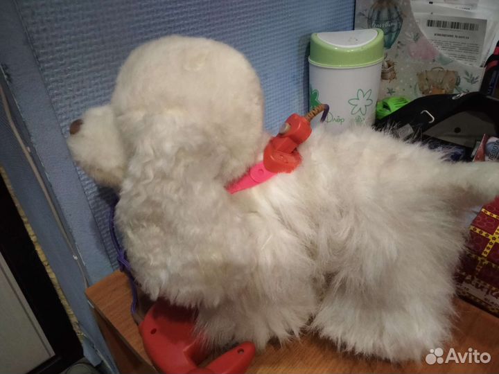 Интерактивная собака на поводке