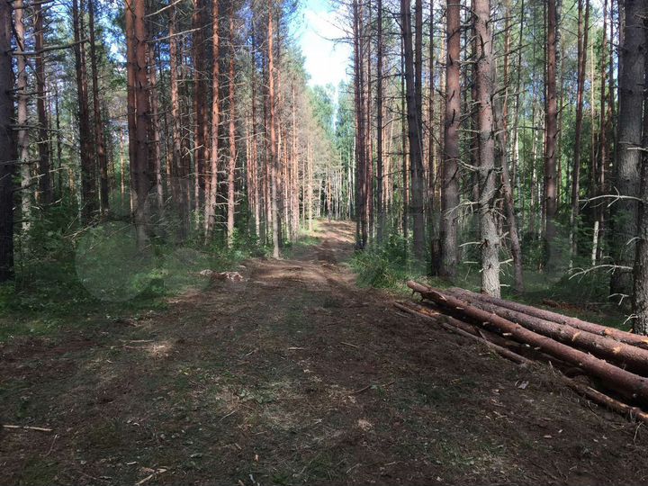 Участок 1,12 га (ИЖС)
