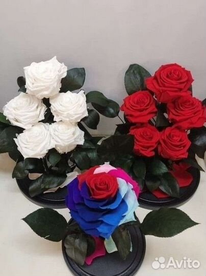 Роза в колбе оптом