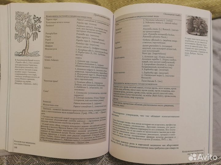 Колдовская медицина. Искусство исцеления