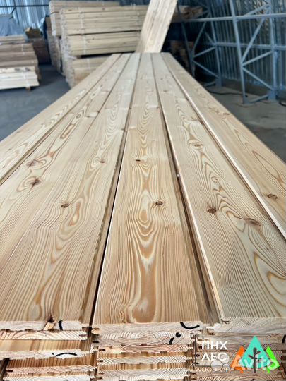 Планкен прямой сосна