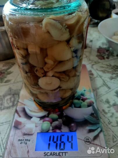 Грибы маслята маринованные