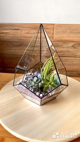 Флорариум за которым легко ухаживать