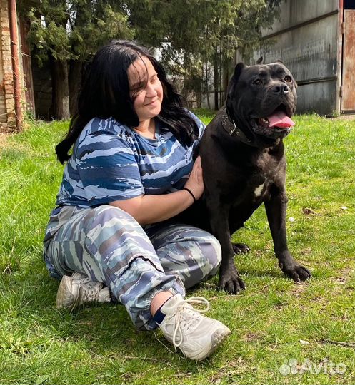 Кинолог/Передержка для собак