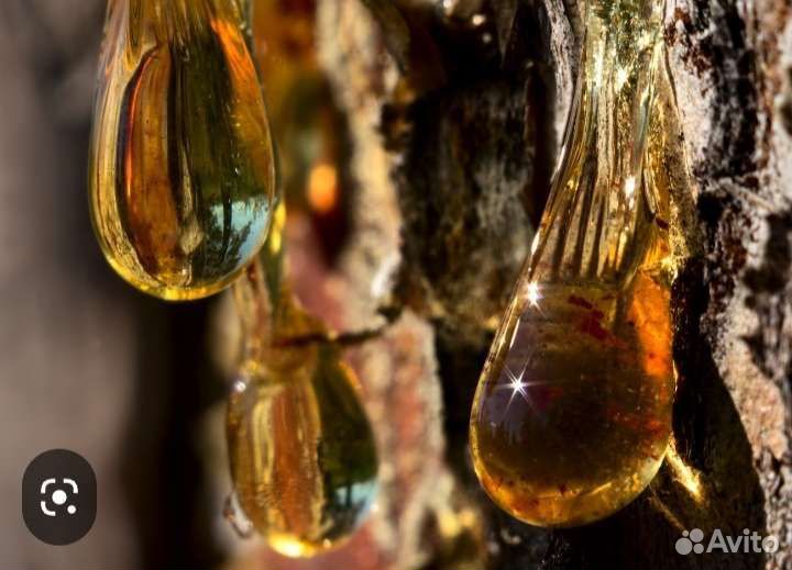 Мазь масло на основе кедровой живицы свежий сбор