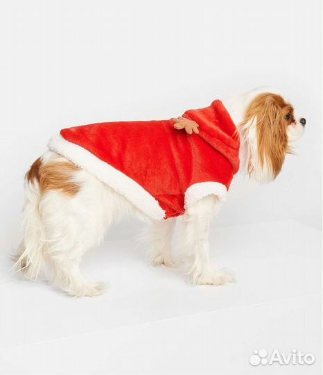 Кофта для собаки