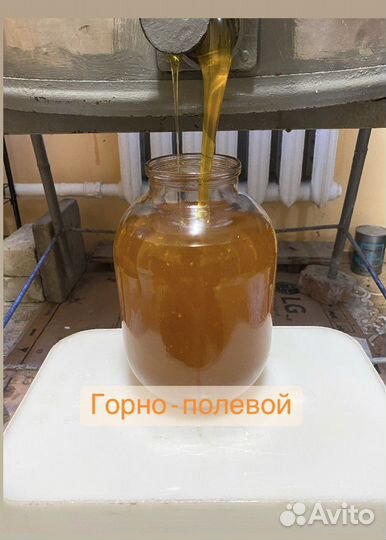 Мёд, забрус, соты, перга, подмор, прополис
