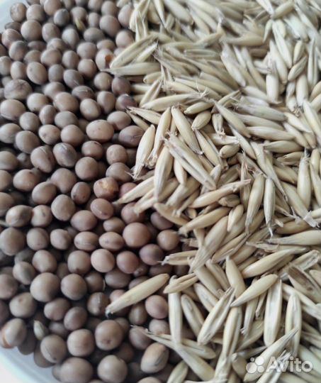 Сидираты Вика-Овес