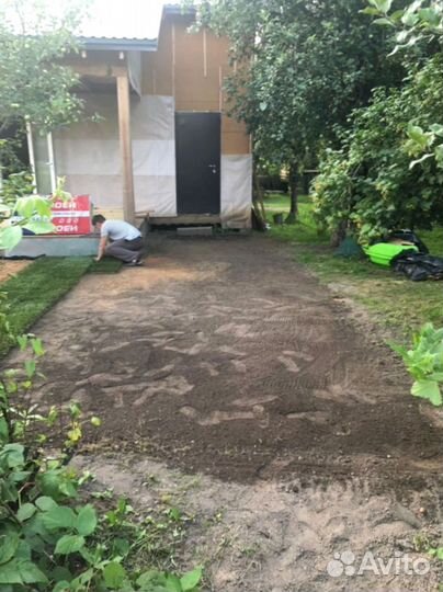 Рулонный газон 