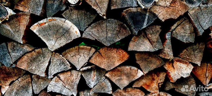 Дрова с Приморска