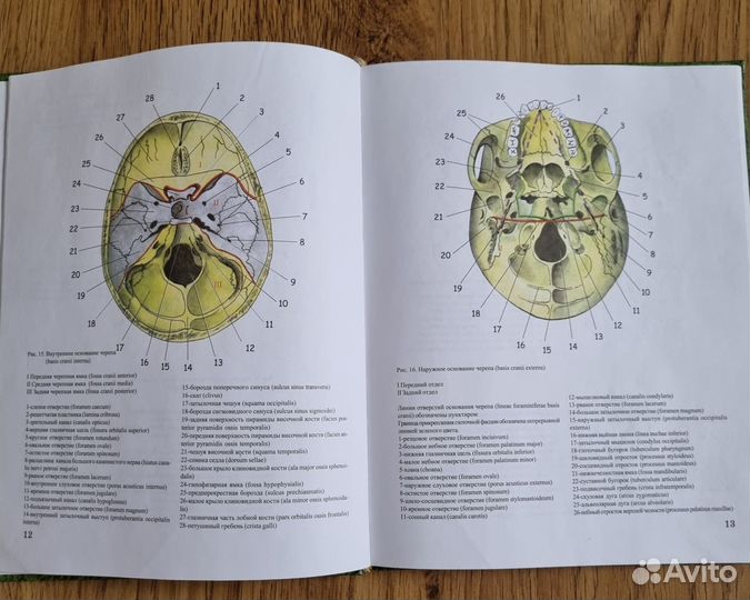 Книга,учебник по стоматологии