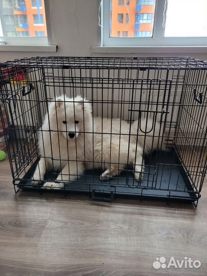 Клетка вольер для собак