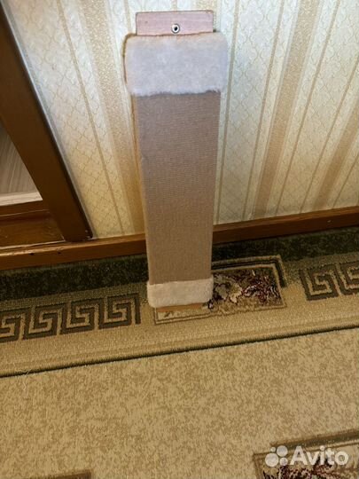 Когтеточка,игрушки,лоток,миска для кошек