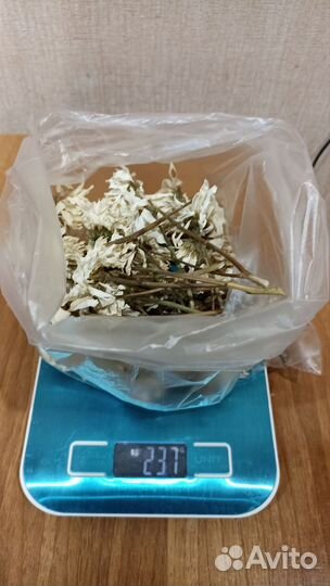 Ромашка сухая