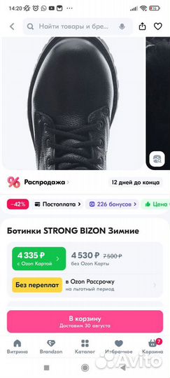 Ботинки зимние strong bizon