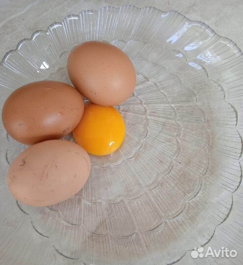 Домашние куриные яйца