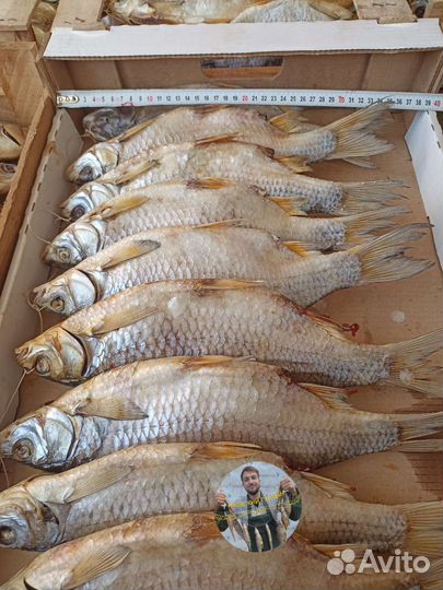 Икряная Гигантская Тарань