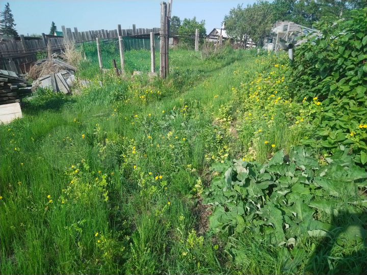 Участок 5,5 сот. (ИЖС)