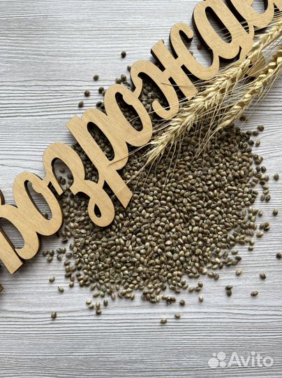 Семена конопли (пищевой)