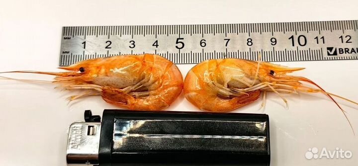 Креветка черноморская вареная