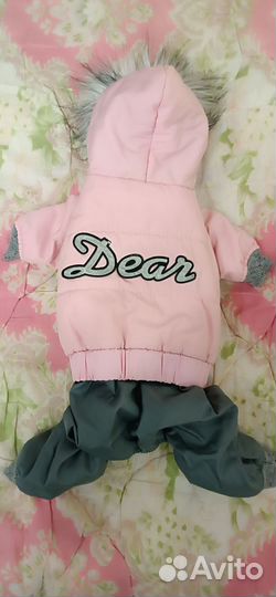 Одежда для собак мелких пород