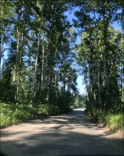 Участок 7,5 сот. (СНТ, ДНП)