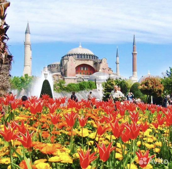 Путешествия