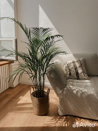 Аренда фотостудии 