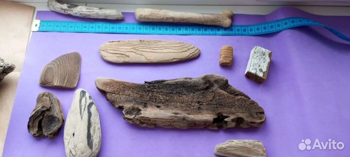 Дрифт вуд. Деревяшки с побережье черного моря