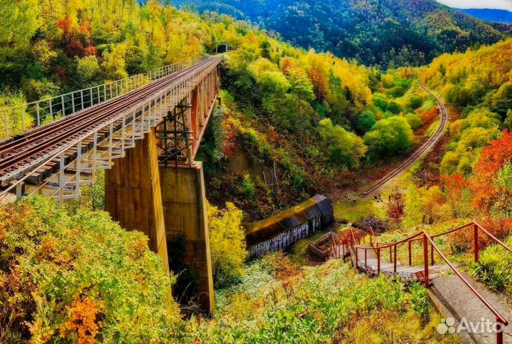 Тур Сахалин летом экспедиция от 6 до 8 дней