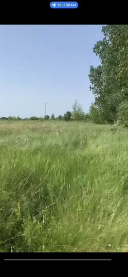 Участок 70 сот. (СНТ, ДНП)