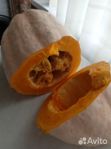 Семена тыквы и дыни