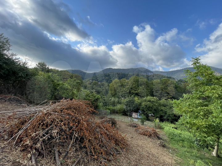 Участок 4,1 сот. (СНТ, ДНП)