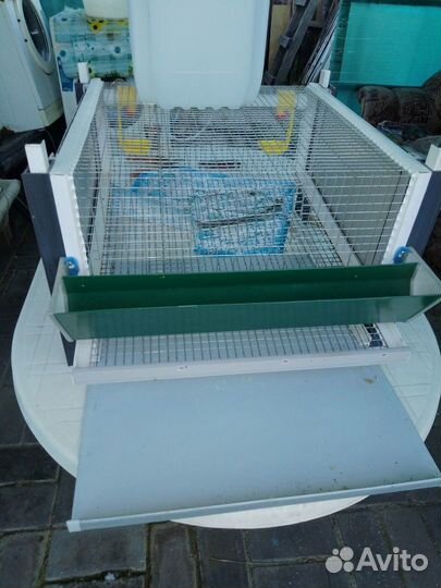 Клетки для перепелов бу