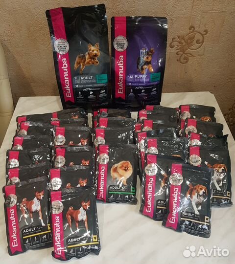 Eukanuba сухой корм и паучи для собак