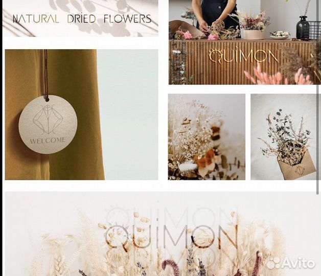 Разработка логотипа, упаковки, брендинг. Дизайнер