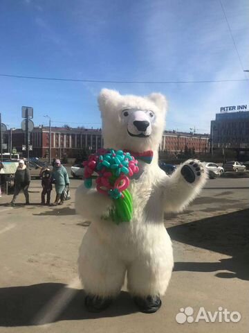 Поздравление от Карельского Мишки и Кота Учёного