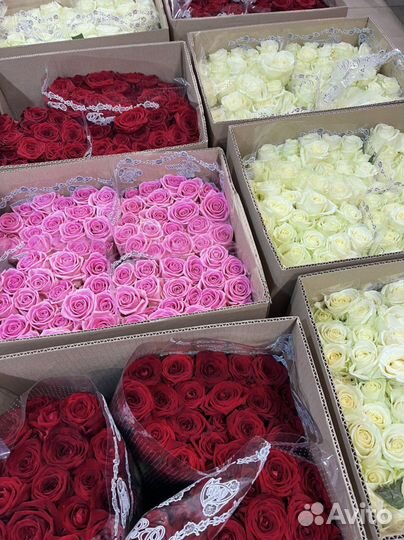 Розы букеты