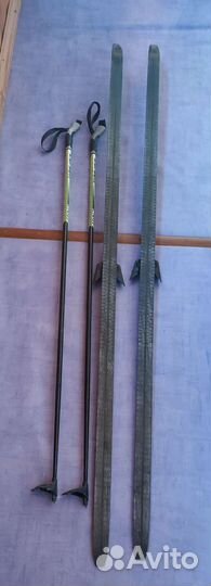 Беговые лыжи Larsen Active 185