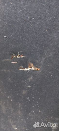 Пол багажника BMW X3 E83