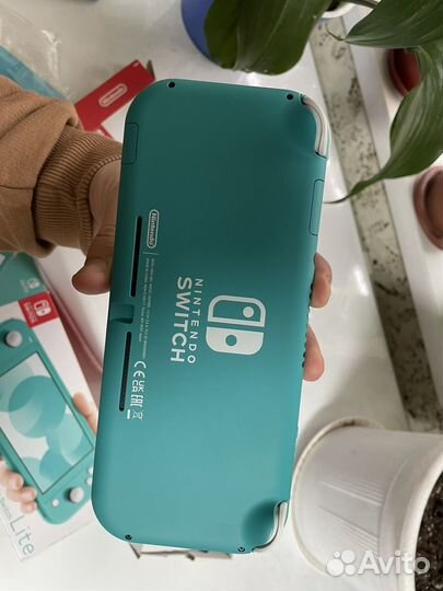 Nintendo switch lite